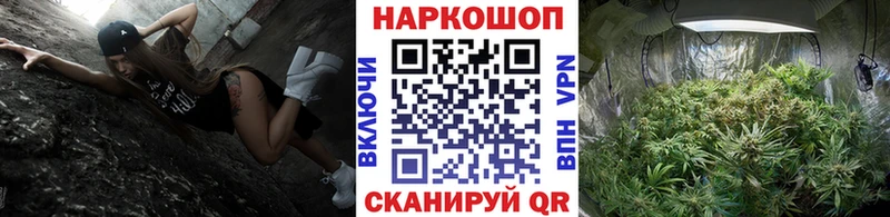 Купить наркотики цена Петровск Канабис СК Меф